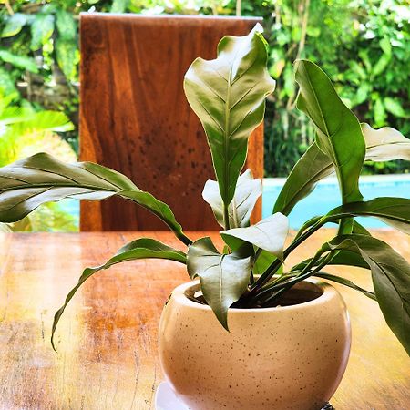 Danaya's villa Ubud Exteriör bild