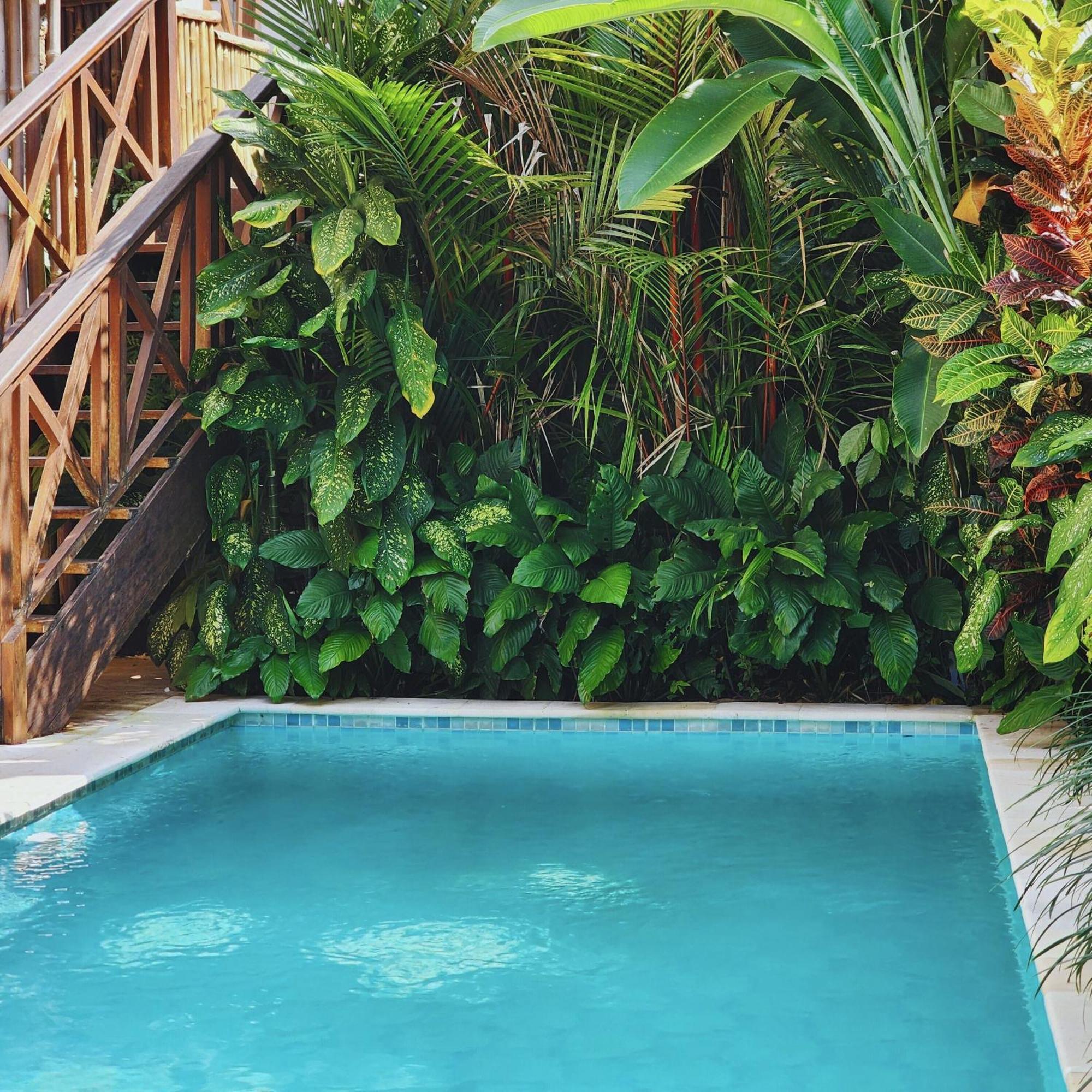 Danaya's villa Ubud Exteriör bild